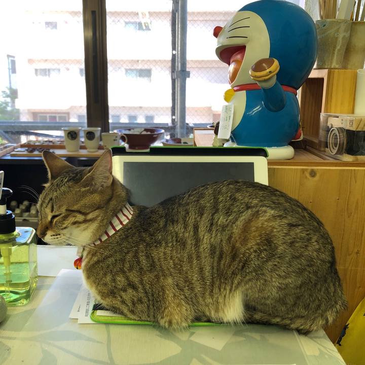 A4b1e4ca 0a57 4e80 b072 eae22888c1bb 1621863988068