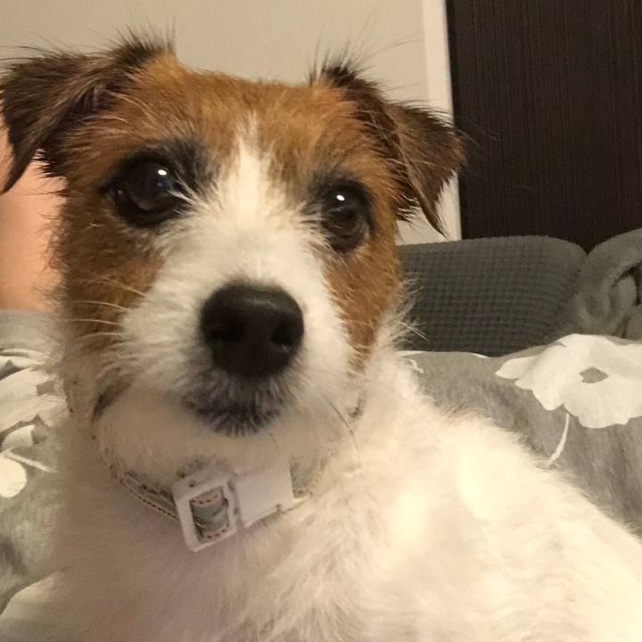 A4b20ae9 9516 458f 8be5 9a0140f1b9d1 1596370434815