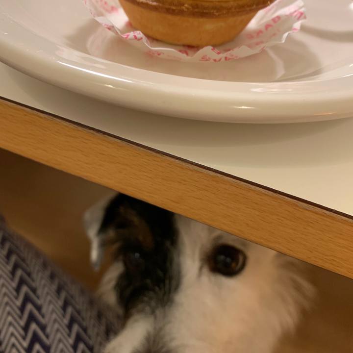 A4b214a5 323a 499d 9fb2 8b7796ec502c 1565957154294