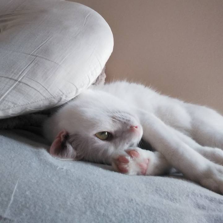 A4b223ed 82ec 4b45 96fd 6ab7dd18f99d 1663541403531