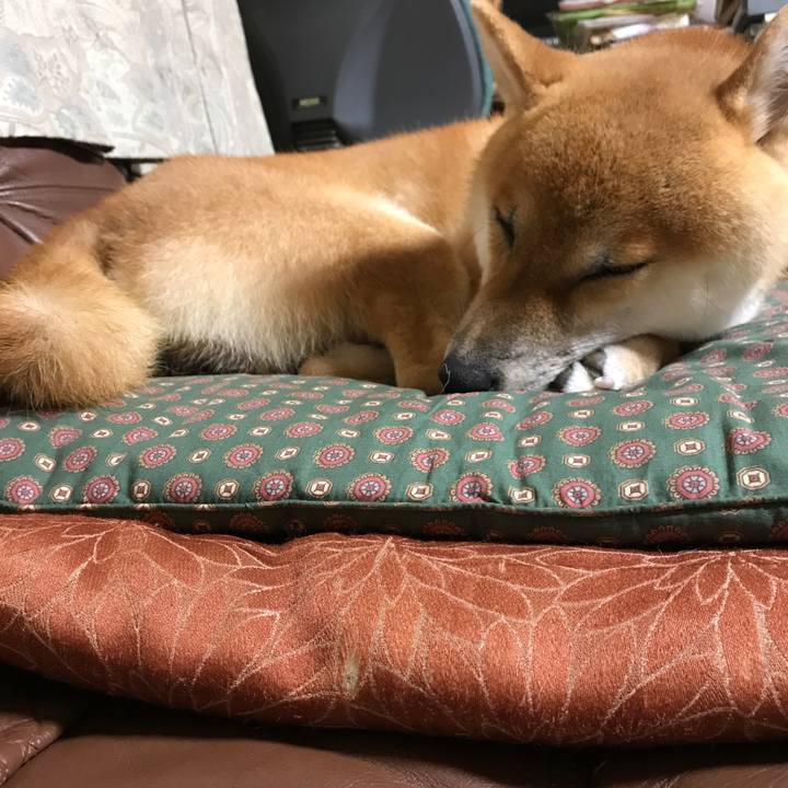 A4b22a73 6d02 423b 9343 0ed0bc55a81f 1536414859186