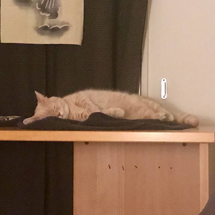 A4b23560 3bb9 444f 8685 8ed32bbf70c2 1550201238729