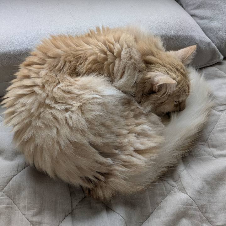 A4b25429 1e36 4572 9846 594addf9d065 1754703992217