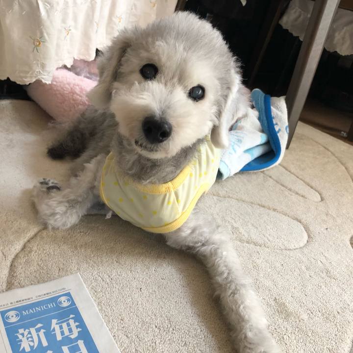 A4b2d7e7 0909 4abd aa18 1c65124a18be 1660262700613