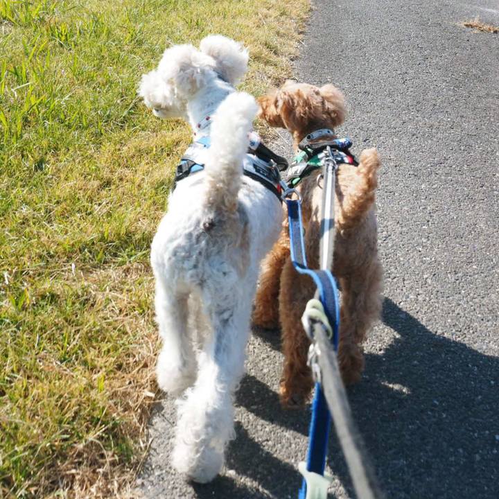 A4b38451 ed19 4d3c 9f40 002cf0b2d2ce 1542637891164