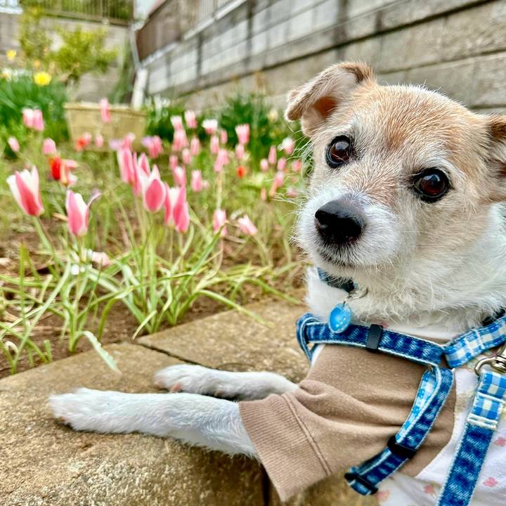 A4b3c7df 76bf 4c84 a13d 0107e1aaf8f2 1712275904740