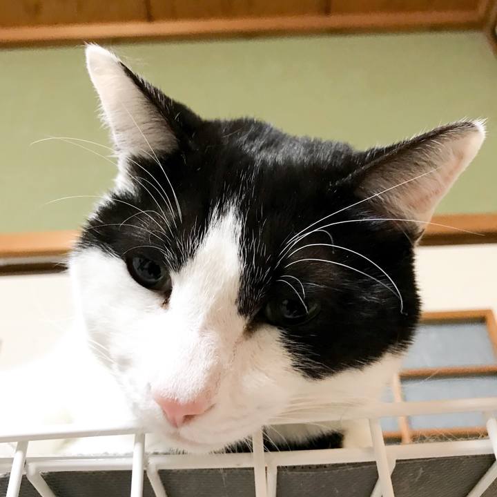 A4b3d54f eb0e 42c6 8bd8 b315c72eb9d5 1522459238488