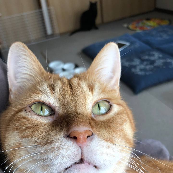 A4b3ffb0 f14a 40e0 81f0 81dc59ab4df9 1680304935159