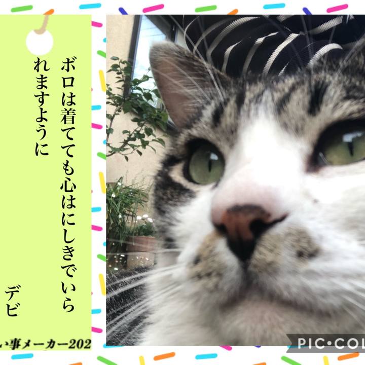 A4b4074b 1ada 4ebb 8cb1 51b8bb80d97b 1594116022226