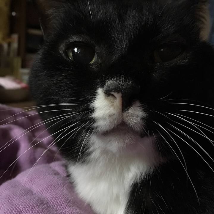 A4b41209 d7d5 45c8 86da 534c193b7514 1540076072641