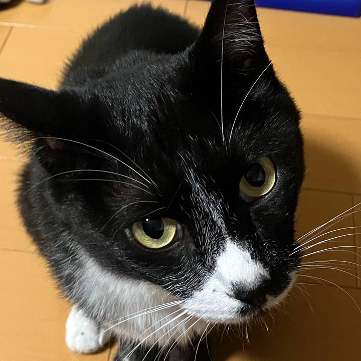 A4b423fa a725 45c6 92b0 3c6c9dad1e89 1694959662597