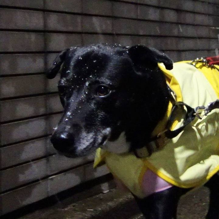 A4b42f1f 0eb2 4a74 a02c 659d6f3c0499 1741429537595