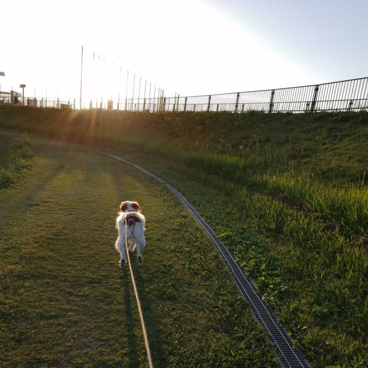 A4b4330f c738 4832 b957 62c6ed7c82bf 1602763442225