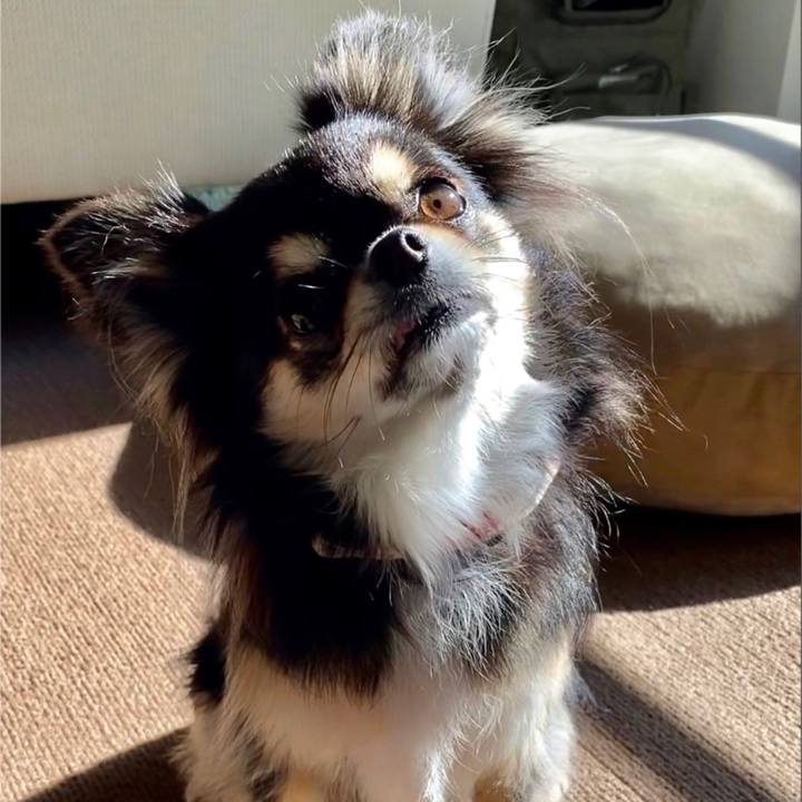 A4b44aa1 5249 4bf4 acd1 056d135c36de 1615427540428