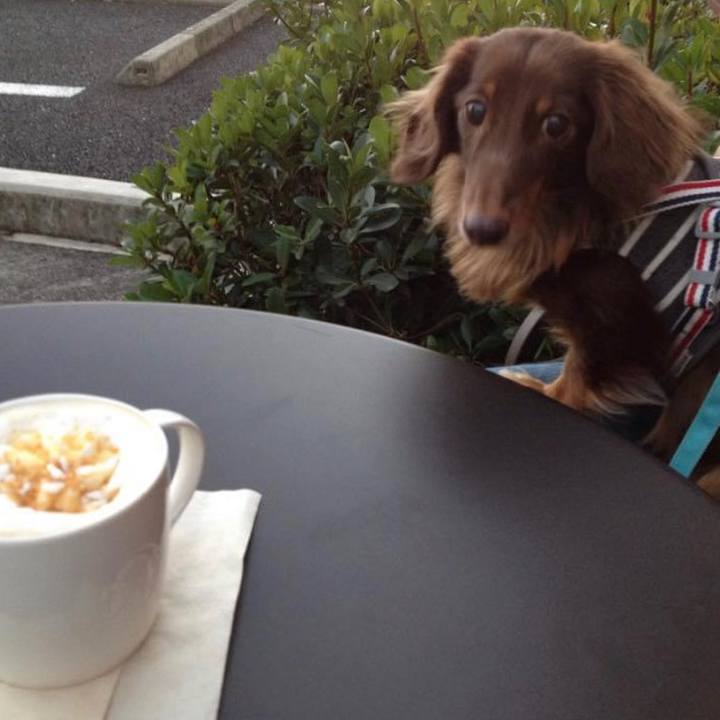 A4b48458 56bd 4d9c 9825 c2b2e1523525 1635918101040