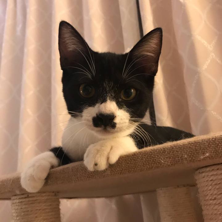 A4b4acf7 a5f5 466b a2b9 708bbafad96e 1600314656416