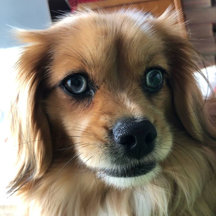 A4b4bc3c aa86 4127 92f6 7a635ea5878f 1556400861395