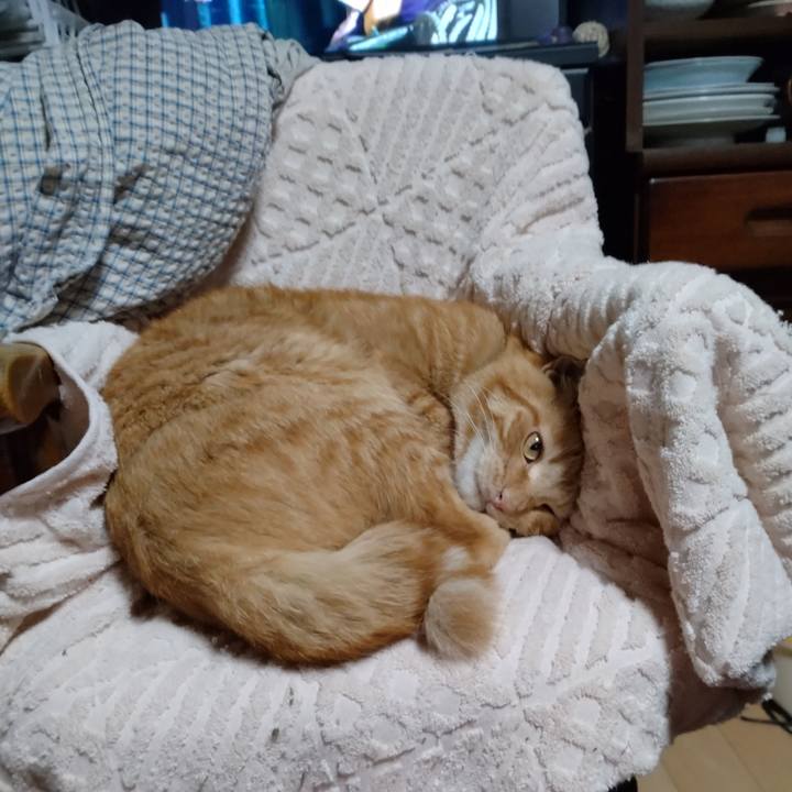 A4b4bff7 57ab 4274 ad0e 83ea9810c984 1663658993555