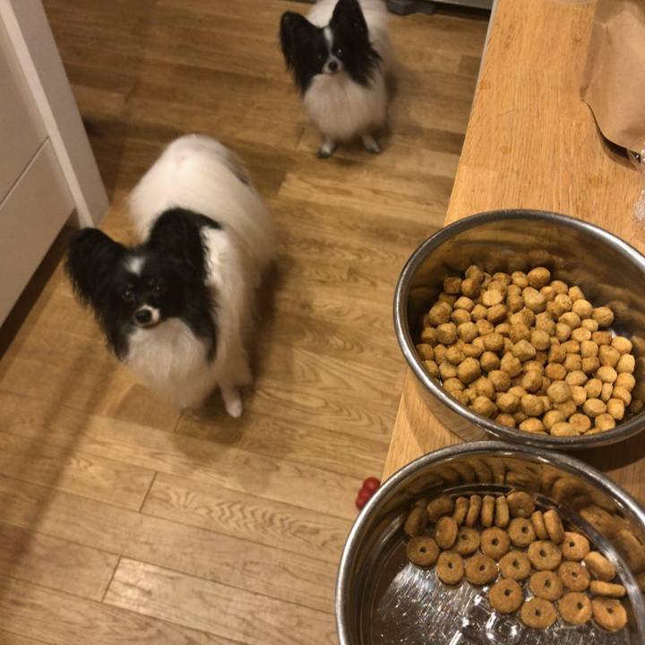 A4b54822 a7dd 40f0 8532 085c4e483b7d 1537001814104