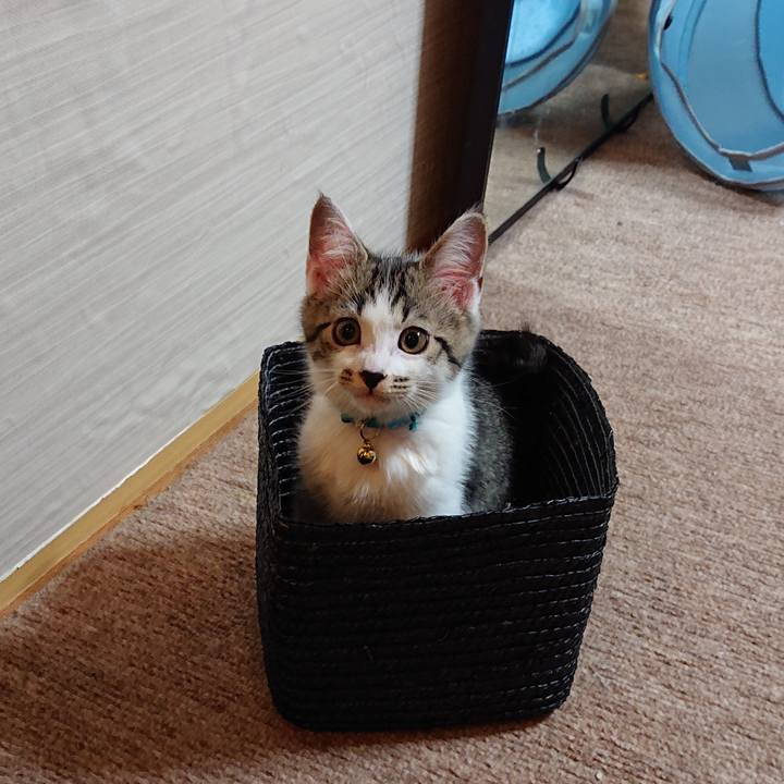 A4b55a47 a282 4709 b7d6 d964773c7fd6 1541896871332