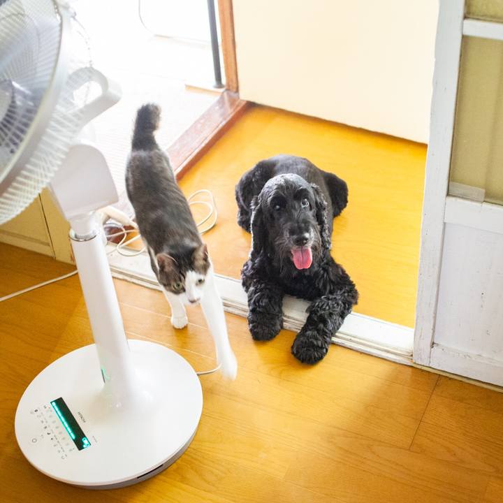 A4b55b90 f72e 4f59 bb44 03cd5a7e0cd8 1565488547226