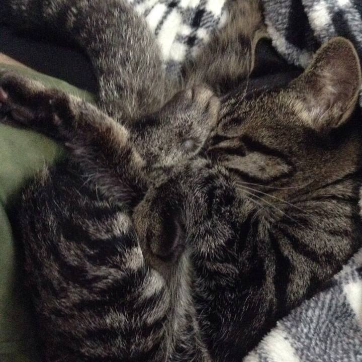 A4b5720a 78bd 4abe a858 915b5b2cbbf2 1541591497304