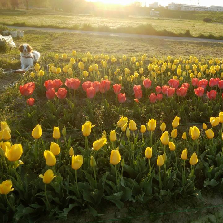 A4b58152 fdbb 49e0 b9c2 ee957bf3c47f 1555414408233