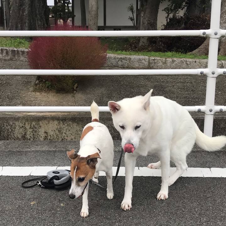 A4b5a22f 8f10 4797 98d1 23b314fe3190 1539479134222