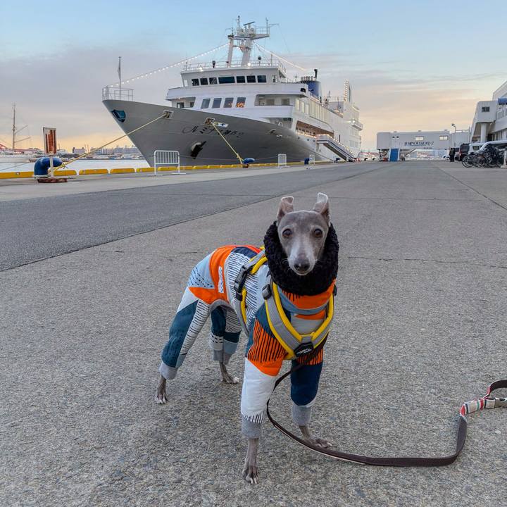 A4b5e0eb de43 47c6 b8b5 312a69fe9cd1 1766058647838