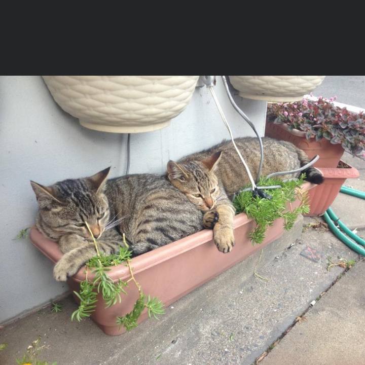 A4b5e882 bc20 4034 b4da 52804d1e3532 1612245565365