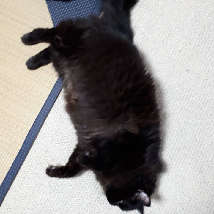 A4b60976 519d 46cd 8a5d 913c370993f4 1534800144085