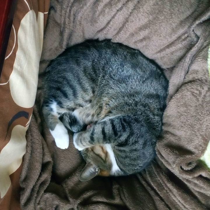 A4b64f5a f1b6 409b 815d 61ac91dff974 1523315254556