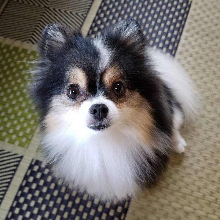 A4b657fd c3ff 469d 81ab 19612491c671 1532300892286