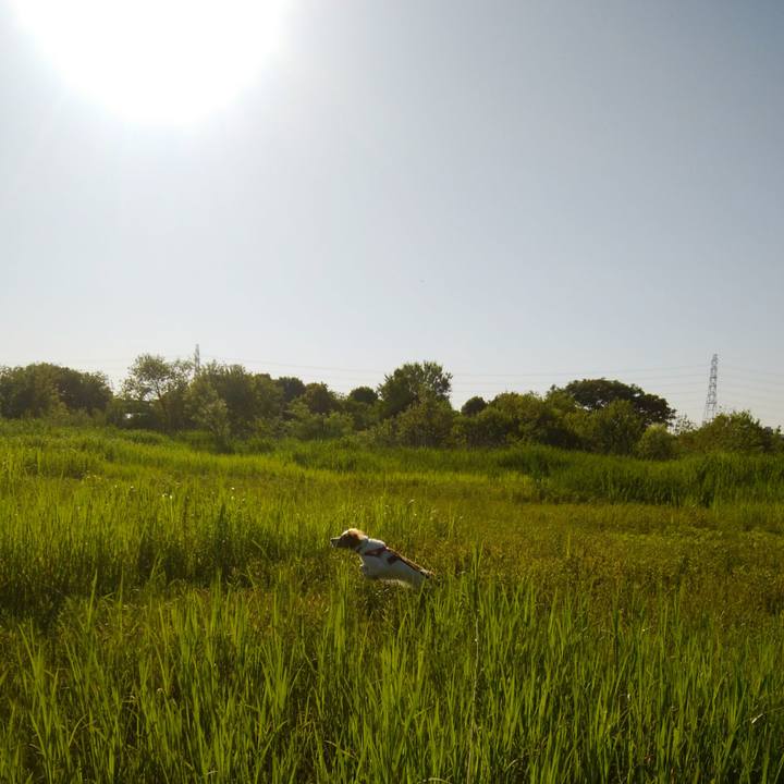 A4b6a131 ad47 4f5b 8d7b b77313dceb75 1527161640146