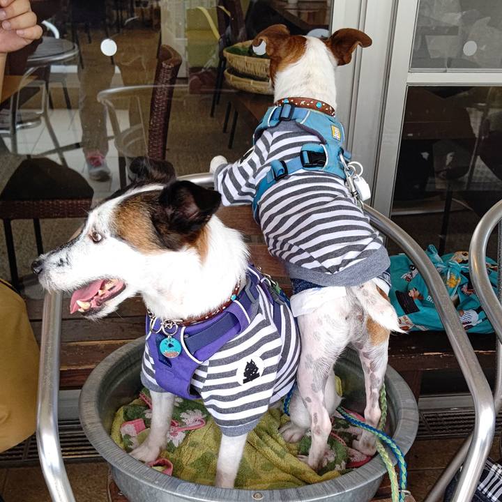 A4b6b2e7 0910 4ab4 8abb 35653c2bc8f2 1633512455621