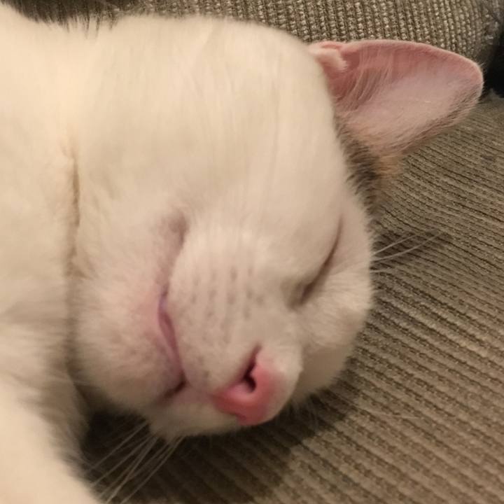 A4b6b4f4 0cd6 4777 a887 25f406164bba 1508802939779