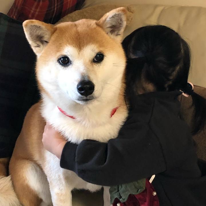 A4b710a5 d714 4980 9f88 268d62d86594 1582424644526