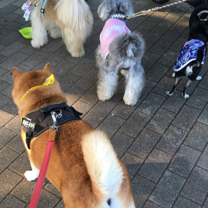 A4b727c7 6685 4d53 8940 fef1dccd8bba 1626734751166