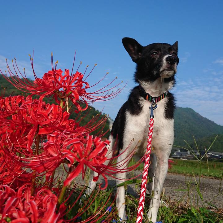 A4b78ef6 083b 497f 9f29 7e6cb853bea6 1569928998319