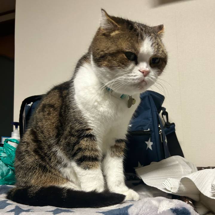 A4b7b6fc ecfa 4cb3 b45c 9d27ca41fdf5 1765400614439