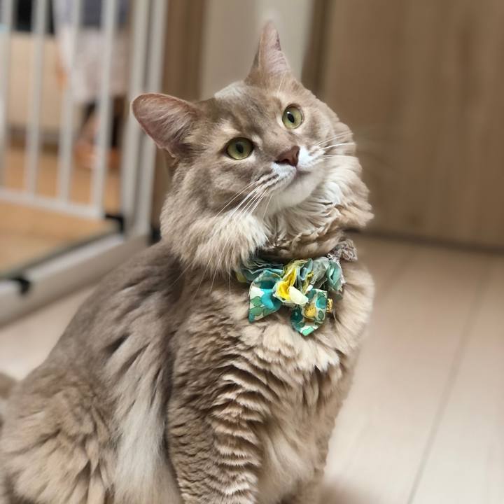 A4b7e3e6 54f5 49ab 984a b44f21dc66b2 1663161787782