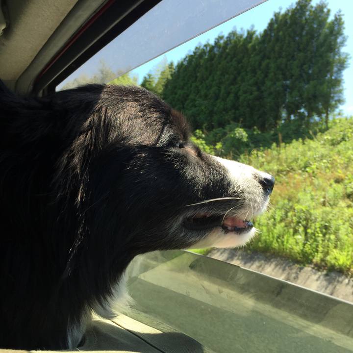 A4b8531f 58b9 4a5e 9a71 ab9ab3dc8e81 1526866422268