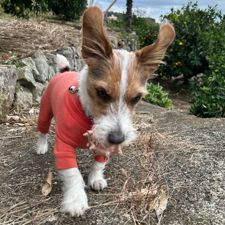 A4b8a945 d0fa 4285 b560 fc3fd130ae61 1762839137468