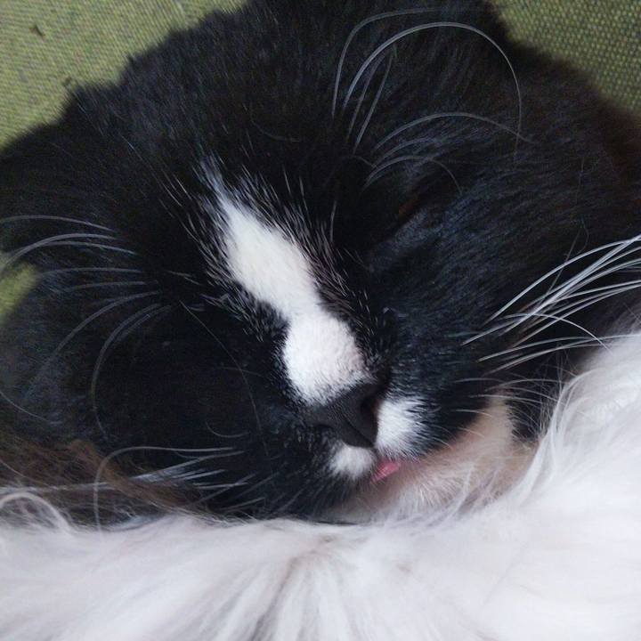 A4b8c2a0 c093 400a aee3 6a3828651b6e 1660908671802