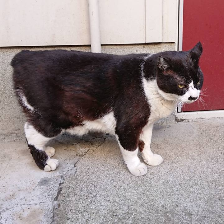 A4b8f0cb dbea 4db2 a31f f8280035f748 1613797004756