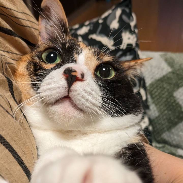 A4b8fc63 2d7d 4d98 b6df a8daebaf85eb 1687233972571