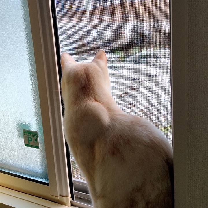 A4b92463 2cbf 4faa 9ab6 c1a2f39b5641 1671059732316