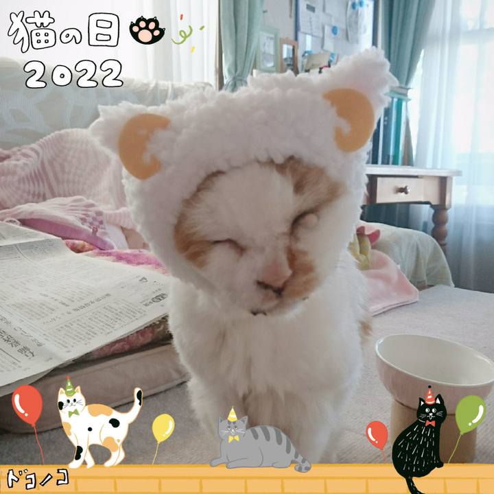 A4b94a96 ea4b 4f6d ac11 c4c34e9f867d 1645540266193