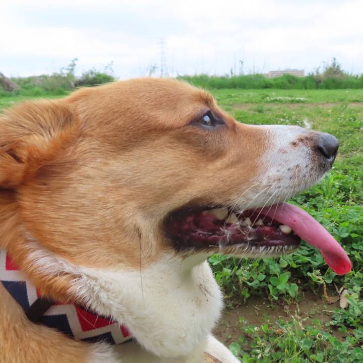 A4b95f2a b50a 4be7 b6c9 fe6fbbe2ba15 1651102570201