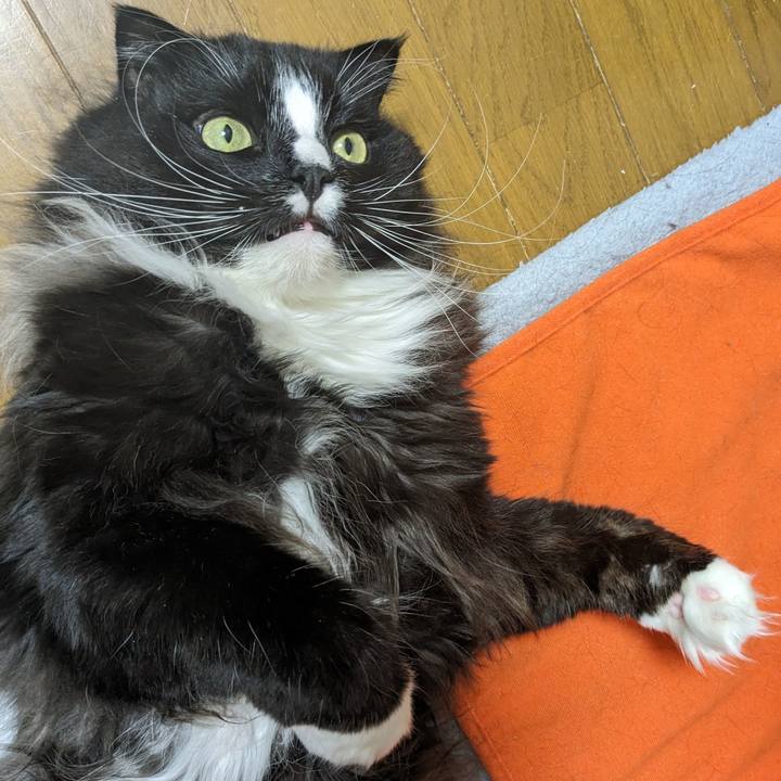 A4b96a5b becc 4ced 9d40 303980ba81db 1704617050332